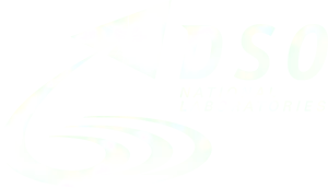 DSO Logo